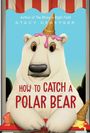 Stacy Dekeyser: How to Catch a Polar Bear, Buch