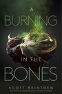 Scott Reintgen: A Burning in the Bones, Buch