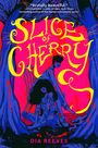 Dia Reeves: Slice of Cherry, Buch