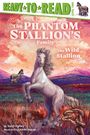 Terri Farley: The Wild Stallion, Buch