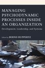 : Managing Psychodynamic Processes Inside an Organization, Buch