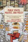 : Public Spaces, Politics, and Policy, Buch