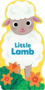 Maggie Fischer: Little Lamb, Buch