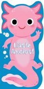 Maggie Fischer: Little Axolotl, Buch