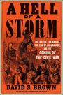David S Brown: A Hell of a Storm, Buch