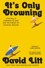 David Litt: It's Only Drowning, Buch