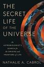 Nathalie A Cabrol: The Secret Life of the Universe, Buch