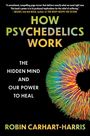 Titel: "How Psychedelics Work". Untertitel: "The Hidden Mind and Our Power to Heal". Bunte, augenähnliche Grafik.