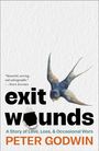 Peter Godwin: Exit Wounds, Buch