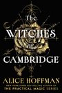 "The Witches of Cambridge" in großen Buchstaben, darunter der Name Alice Hoffman. Goldenes, detailliertes Rosenmotiv.