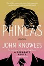 "Phineas" von John Knowles in großer Schrift. Illustration zeigt stilisierte Frisur ohne Gesicht auf buntem Hintergrund.