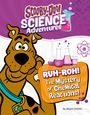 Ailynn Collins: Ruh-Roh! the Mystery of Chemical Reactions!, Buch