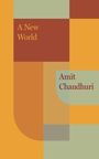 Amit Chaudhuri: A New World, Buch