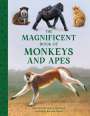 Barbara Taylor: The Magnificent Book of Monkeys and Apes, Buch