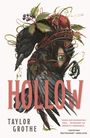 Taylor Grothe: Hollow, Buch