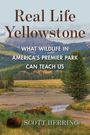 Scott Herring: Real Life Yellowstone, Buch