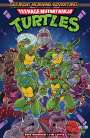 Erik Burnham: Teenage Mutant Ninja Turtles: Saturday Morning Adventures, Vol. 1, Buch