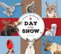 Fiona Craig: Animal Adventures, Buch