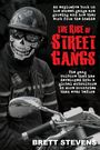 Brett Stevens: The Rise of Street Gangs, Buch