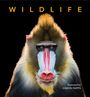 Simon Papps: Wildlife, Buch