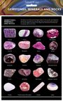 New Holland Publishers: Gemstones, Minerals & Rocks - Id Chart, Buch
