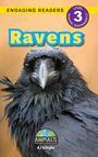 Aj Knight: Ravens, Buch