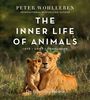 Buchtitel: "The Inner Life of Animals". Zwei Löwen liegen eng nebeneinander auf einer Wiese.
