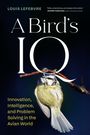 Titel: A Bird's IQ. Unten ist ein Vogel, der sich an einem Ast festhält.