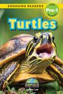 Ashley Lee: Turtles, Buch
