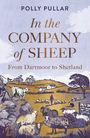 Buchtitel: "In the Company of Sheep". Eine Landschaft mit Schafen, Hügeln und einem Bauernhaus.
