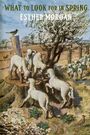 "What to Look for in Spring", Esther Morgan. Illustration mit Lämmern bei einem blühenden Baum, einem Vogel und Pflanzen.