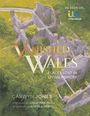 Carwyn Jones: Vanished Wales, Buch