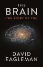 David Eagleman: The Brain, Buch