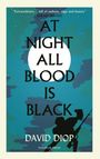 David Diop: At Night All Blood is Black, Buch