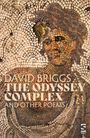 David Briggs: The Odyssey Complex, Buch