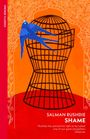 Shame: Shame, Buch