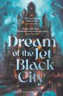 Pablo Valcárcel Castro: Dream of the Jet-Black City, Buch