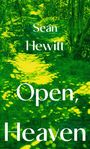 Seán Hewitt: Open, Heaven, Buch