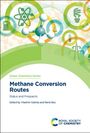: Methane Conversion Routes, Buch