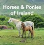 Text: "Horses & Ponies of Ireland". Weiße Stute und braunes Fohlen auf grüner Wiese vor Hügeln und Bäumen.
