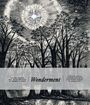 Sherry L. Ross: Wonderment, Buch