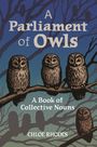 Chloe Rhodes: A Parliament of Owls, Buch