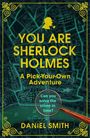 Daniel Smith: You Are Sherlock Holmes, Buch