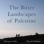 David Shulman: The Bitter Landscapes of Palestine, Buch