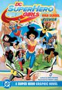 Shea Fontana: DC Super Hero Girls Reunion, Buch