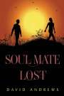 David Andrews: Soul Mate Lost, Buch
