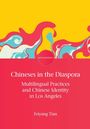 "Chineses in the Diaspora: Multilingual Practices and Chinese Identity in Los Angeles" von Feiyang Tian. Illustration: bunte Formen.