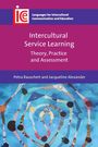 Petra Rauschert: Intercultural Service Learning, Buch