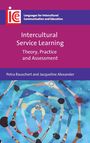 Petra Rauschert: Intercultural Service Learning, Buch