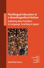 Titel: "Plurilingual Education in a Monolingualised Nation". Viele bunte Anhänger hängen an Schnüren. Autor: Daniel Roy Pearce.
